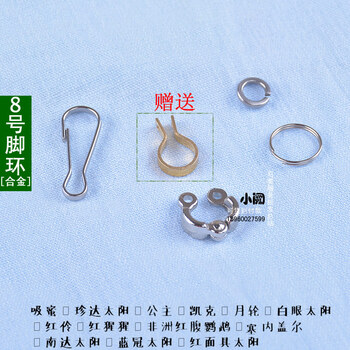 通过发展林下经济模式