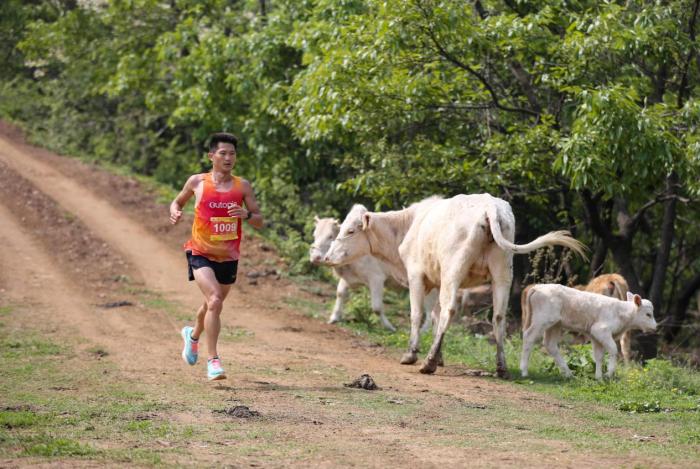 2024山马越野首站嵖岈山揭幕 全国近四千名选手汇